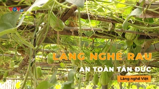 Làng nghề rau an toàn Tân Đức - Làng nghề Việt 