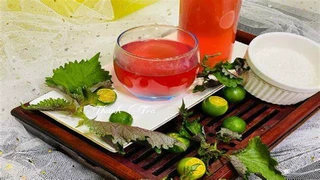Nước lá tía tô liệu có phải "thần dược", cần lưu ý gì khi uống thay nước hàng ngày?