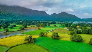 Du lịch Quy Nhơn -AnYa Premier hotel - Vùng biển xanh và cát trắng tuyệt đẹp