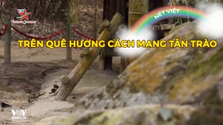 Trên quê hương cách mạng Tân Trào