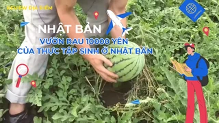 Vườn rau 10000 Yên của thực tập sinh ở Nhật Bản