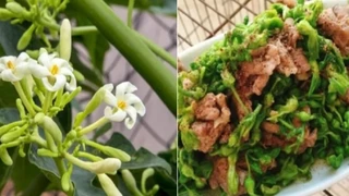 Lạ với món ăn từ hoa và ngọn đu đủ đực của người Thái Nghệ An