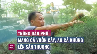 Lạ lùng -lão nông- mang vác cả vườn cây, ao cá -khủng- lên sân thượng giữa lòng thủ đô - VTC Now