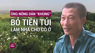 Vợ chồng lão nông -khùng-, bỏ tiền túi thuê đất ruộng bỏ hoang làm nhà cho cò, vạc về trú ngụ