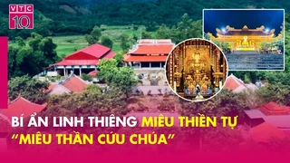 Bí ẩn linh thiêng Miêu Thiền Tự - “Miêu thần cứu chúa”