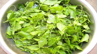 Rau ruốc – Món ngon không hóa chất