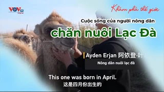 Cuộc sống của người nông dân chăn nuôi Lạc Đà