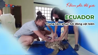Trung tâm phục hồi động vật biển ở ECUADOR