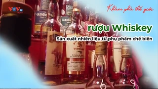 Sản xuất nhiên liệu từ phụ phẩm chế biến rượu Whiskey