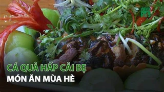 Cá Quả hấp Cải Bẹ món ăn Mùa Hè