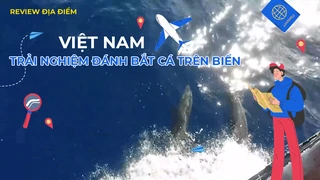 Trải nghiệm đánh bắt cá trên biển