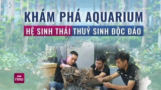 Ghé -xưởng sản xuất thủy cung- lung linh, huyền ảo của các -kiến trúc sư- trong lòng nước - VTC Now