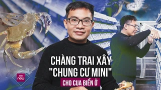 Kỳ lạ ông chủ bỏ tiền tỷ xây -chung cư mini- cho hàng nghìn cua biển giữa lòng Hà Nội - VTC Now