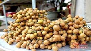 Quả Nhâm - thức ăn vặt chữa ho, giải cảm mùa nắng nón