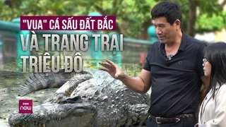 Hàng ngày chăm bẵm cho loài vật nguy hiểm bậc nhất, -vua cá sấu- đất Bắc có bí quyết gì- - VTC Now