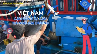 Cận cảnh đi câu cá ngừ đại dương