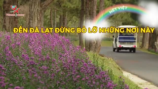 Đến Đà Lạt đừng bỏ lỡ những nơi này