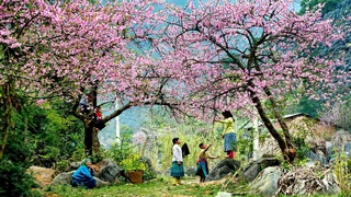 Tết của người Thái ở Mai Châu