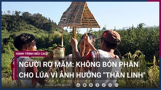 Khám phá nương rẫy của người Rơ Măm- Không bón phân cho lúa vì ảnh hưởng -thần linh- - VTC Now
