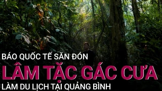 Quảng Bình- Chuyện lâm tặc -gác cưa- làm du lịch được báo quốc tế săn đón - VTC Now