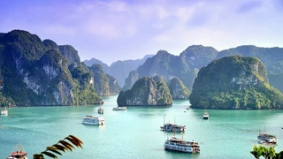 Tuần Châu - Hòn Ngọc giữa Vịnh Hạ Long Phần 3