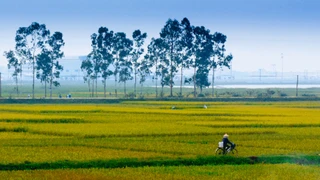 Vẻ Đẹp Bắc Ninh Quê Hương Tôi (phần 5)