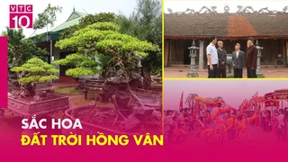 Hồng vân - Sắc hoa tinh túy đất trời
