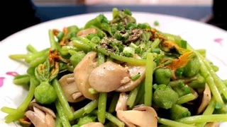 Bông bí - Bóng dáng hồn quê giữa phố