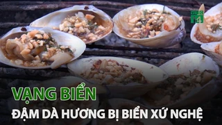 Vạng biển, đậm đà hương vị biển xứ Nghệ