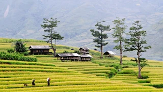Bình yên miền Tây Bắc (phần 5)