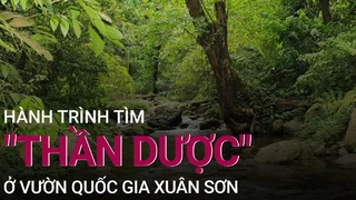Trải nghiệm vào rừng sâu săn tìm loại sản vật được coi là -thần dược- quý hiếm I VTC Now