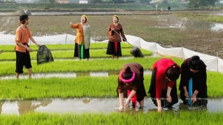 Khám phá nét thôn quê Xứ Nghệ (phần 2)