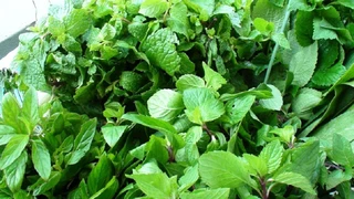 Rau Thơm - Gia vị cần thiết cho sức khỏe
