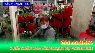 Colombia - Xuất Khẩu Hoa Tăng Mạnh Trong Dịp Lễ Valentine