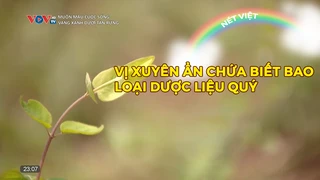 Vị Xuyên ẩn chứa biết bao loại dược liệu quý
