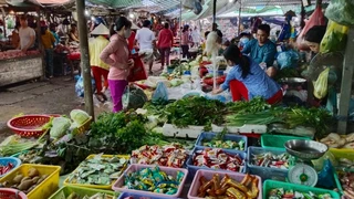 Miền Tây sông nước những điều thú vị chưa kể - Phần 2