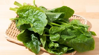 Những lưu ý khi ăn rau mồng tơi vào hè