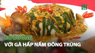 Bổ dưỡng với Gà hấp Nấm Đông Trùng