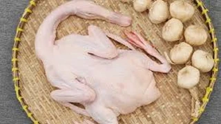 Vịt bầu Quỳ đặc sản hấp dẫn của người xứ Nghệ