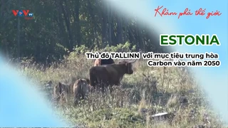 ESTONIA - Thủ đô TALLINN với mục tiêu trung hòa Carbon vào năm 2050