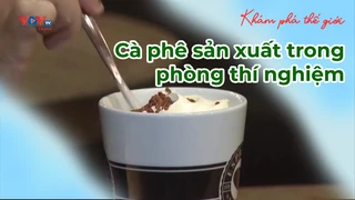 Cà phê sản xuất trong phòng thí nghiệm