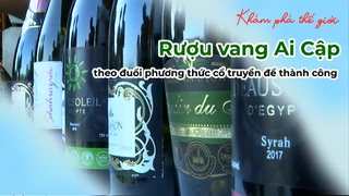 Rượu vang Ai Cập theo đuổi phương thức cổ truyền để thành công