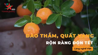 Đào thắm, quất vàng, rộn ràng đón tết- Làng Nghề Việt