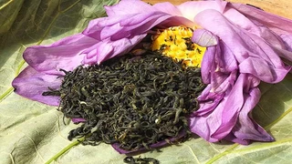 Mùa Sen ướp Trà Sen