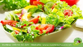 Lưu ý trong chế biến món ăn từ các loại rau hữu cơ