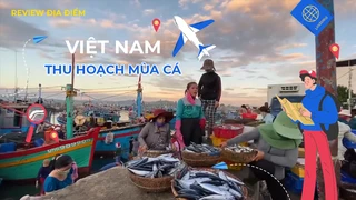 Thu hoạch mùa cá