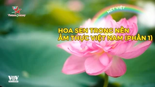 Hoa sen trong nền ẩm thực Việt Nam (Phần 1)