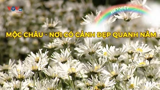 Mộc Châu - Nơi có cảnh đẹp quanh năm
