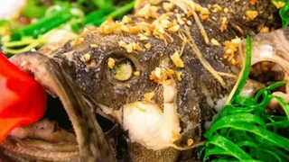 Món ngon làm từ cá song (phần 1)