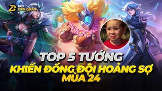Top 5 Tướng Khiến Đồng Đội Hoảng Sợ Mùa 24 | Box Liên Quân